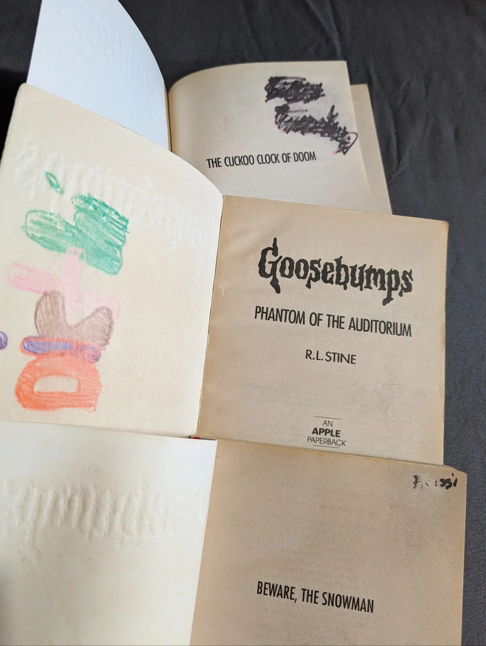 16 Goosebumps Chapter Books RL Stine Horror Scholastic VTG 1990's - Picture 13 of 13